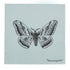 BUTTERFLY PAPER NAPKIN BLUE