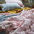 ROSE LINEN SHEET